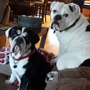 Meet your Posher, Karen